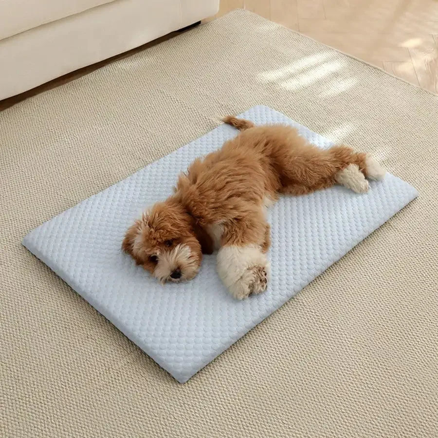 Thick Cooling Pet Bed With Breathable Cotton Padding For Pets