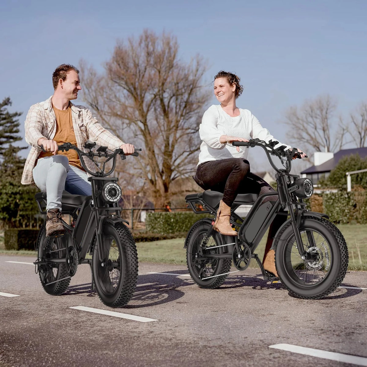 Aovopro Fat Tire Electric Bicycle With Powerful Brushless Motor