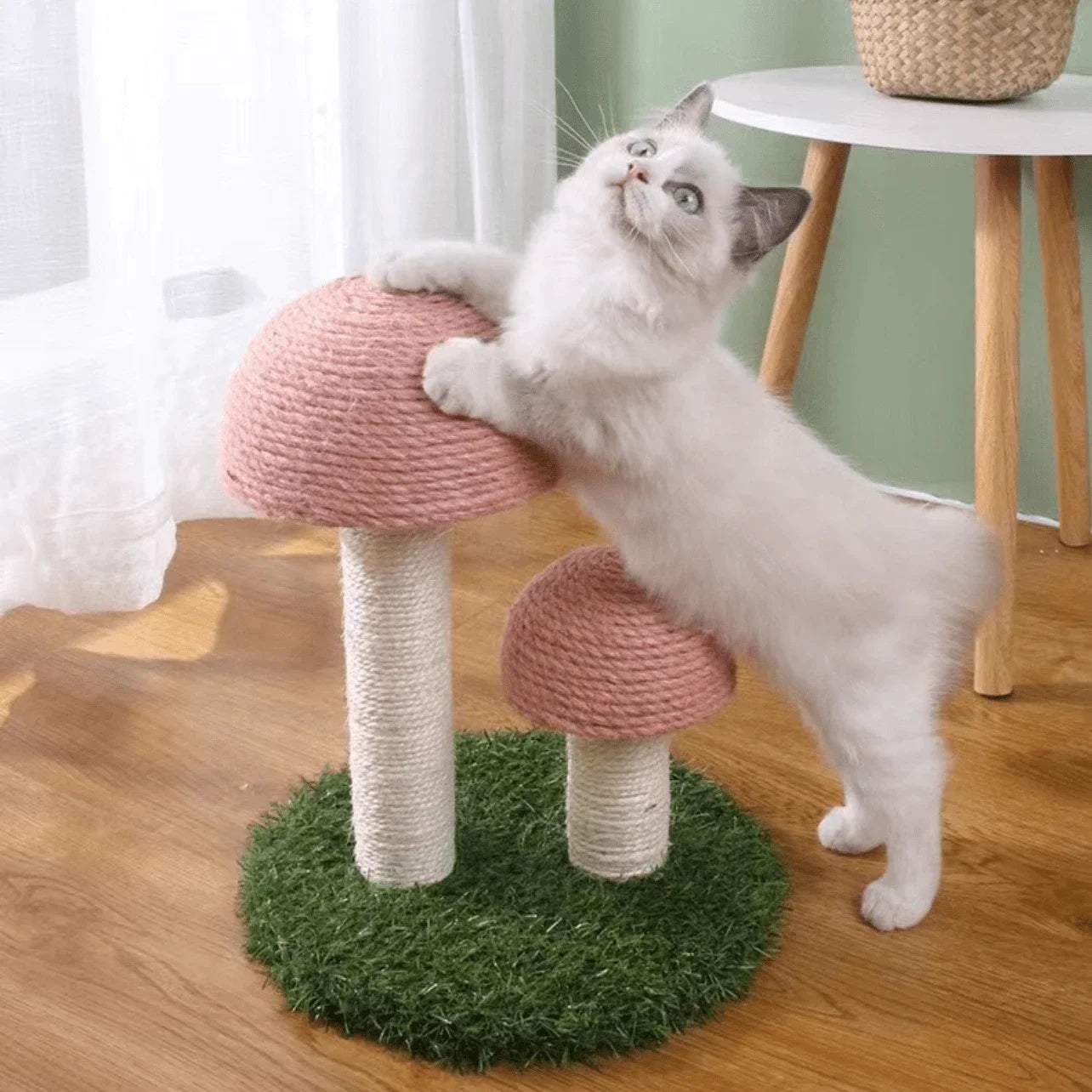 Sturdy Twin Mushroom Cat Climbing Frame With Scratching Platforms