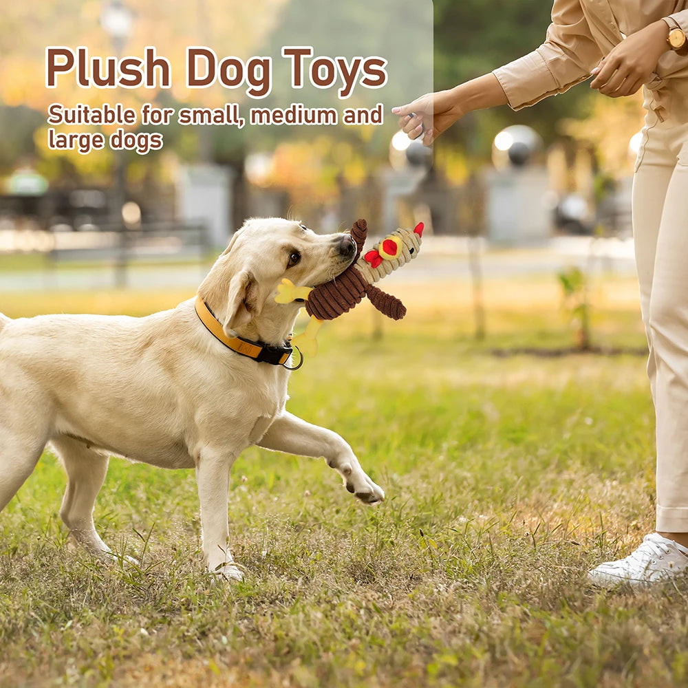 5 Pack Assortment Plush Squeaky Dog Toys Bundle