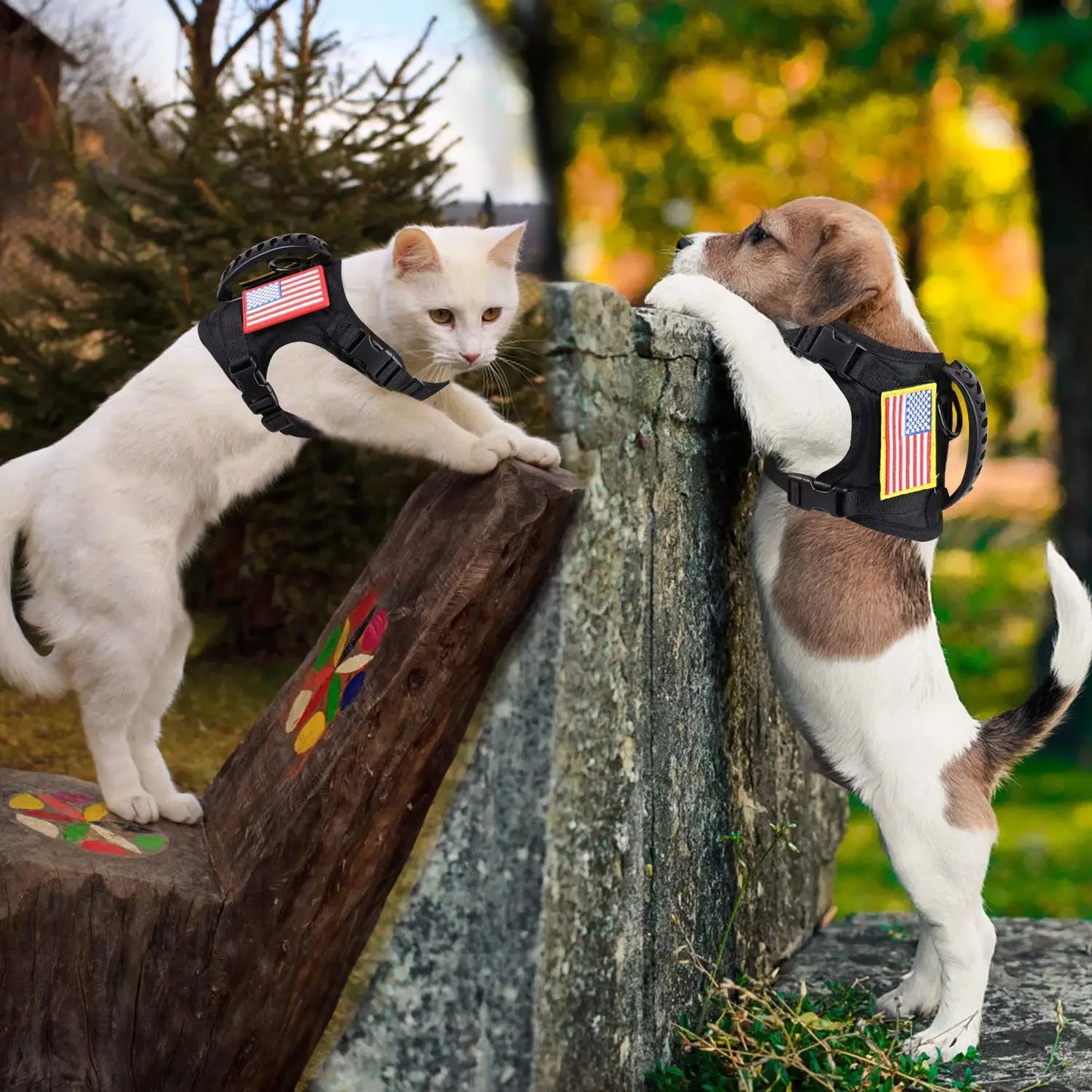 Adjustable Nylon Puppy Harness And Leash Set With Breakaway Buckle For Training