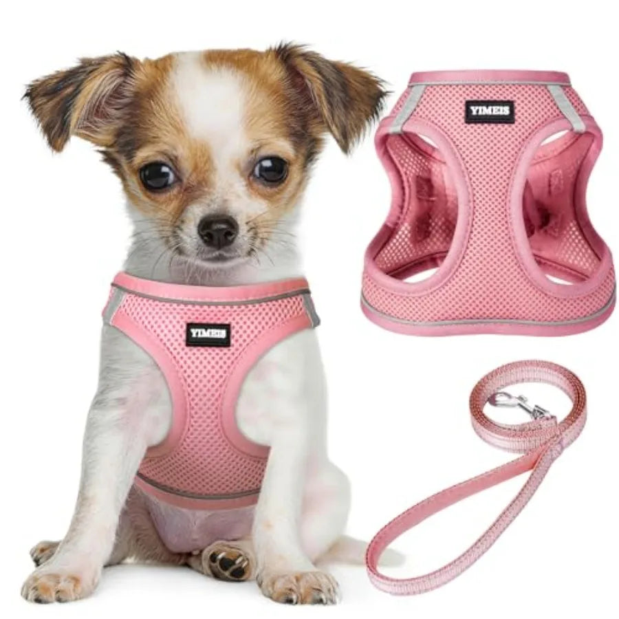 Adjustable Reflective Dog Harness And Leash Set For Daily Walks