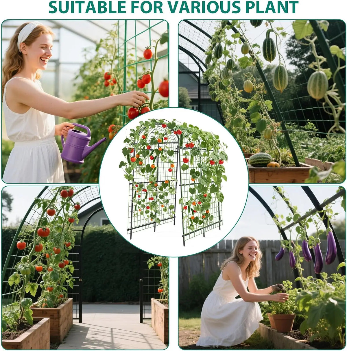 Tacleekii Metal Garden Arch Trellis For Climbing Plants