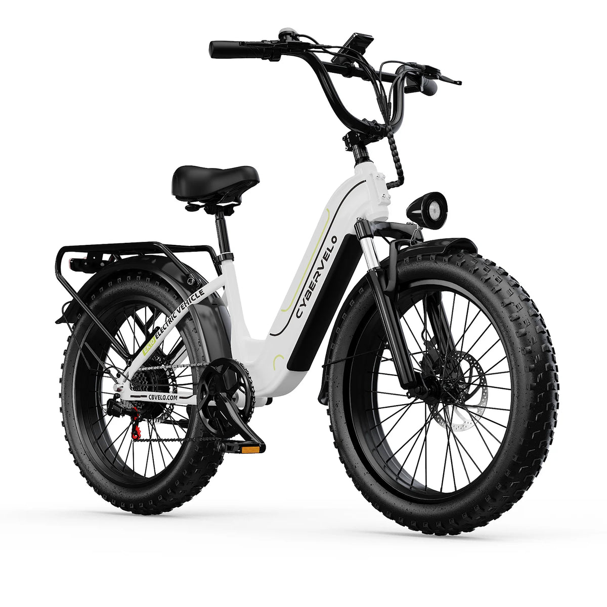 Lionland Fat Tire Electric Bike 1000W All Terrain Removable Battery
