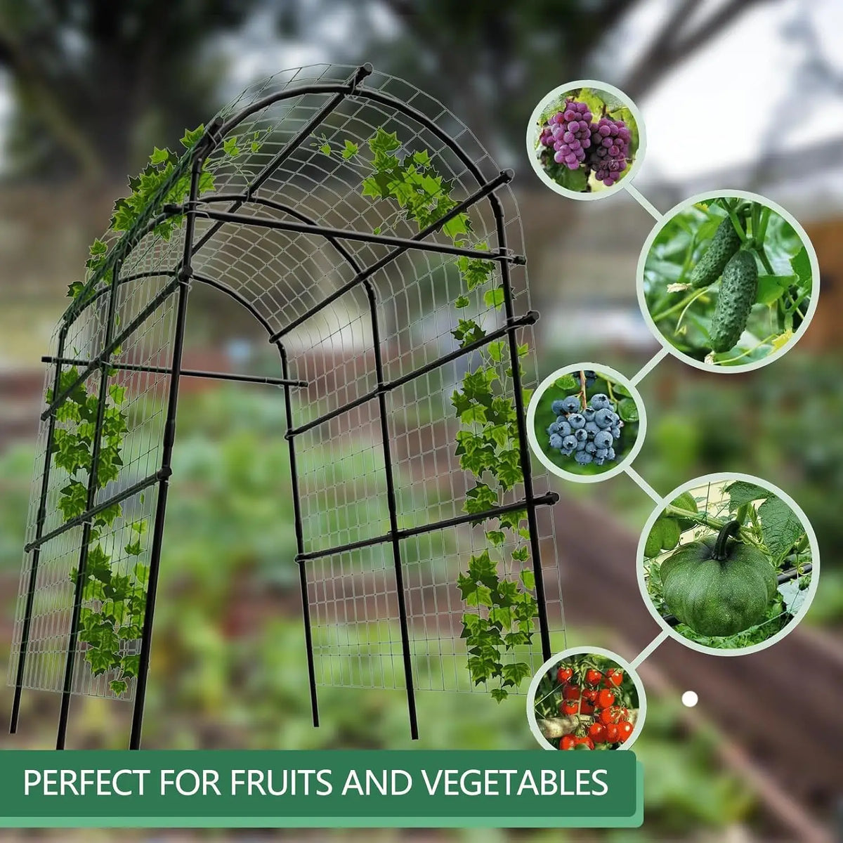 Tacleekii Metal Garden Arch Trellis For Climbing Plants