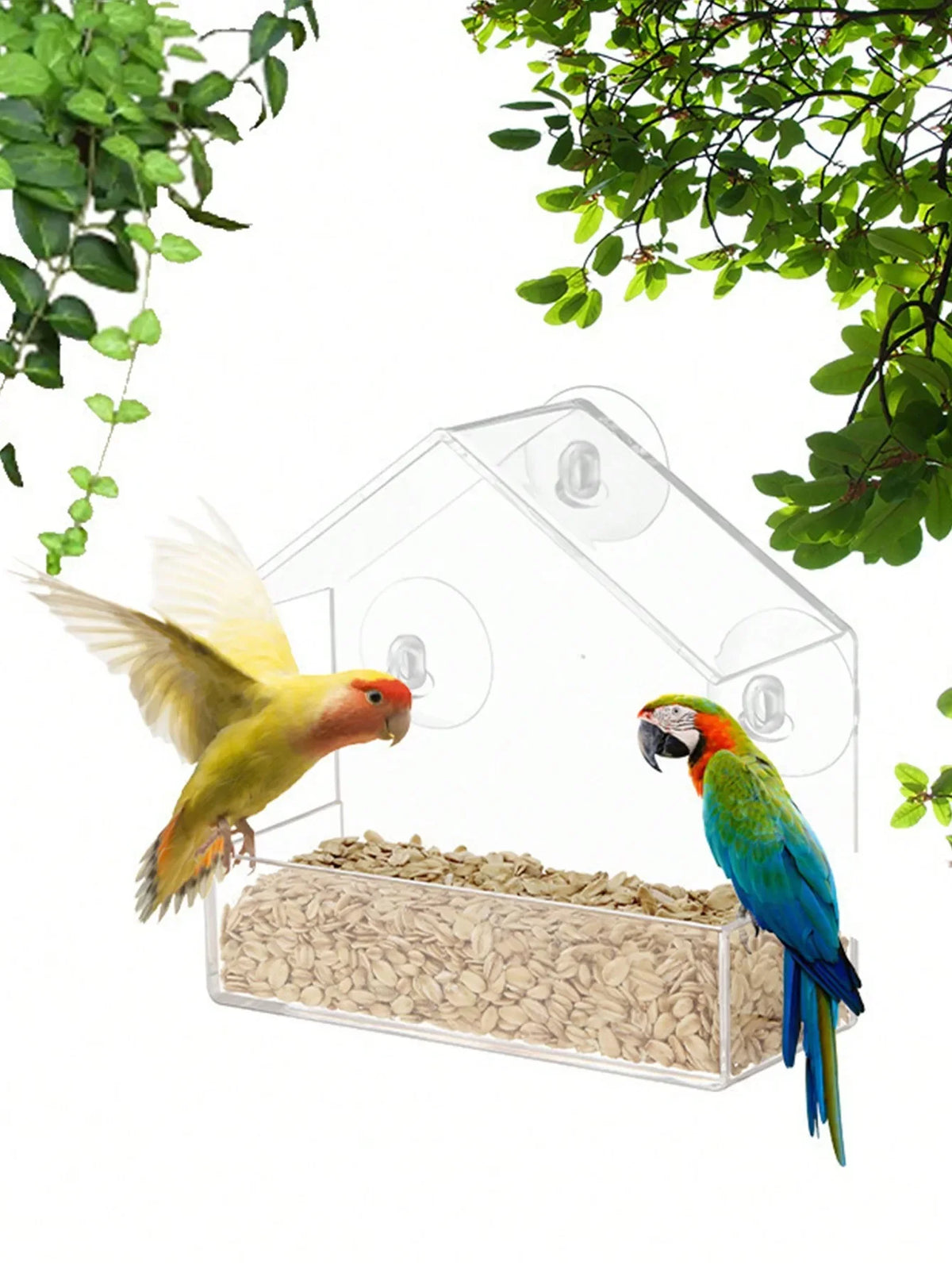 Acrylic Hanging Bird Feeder With Clear Viewing Window For Garden
