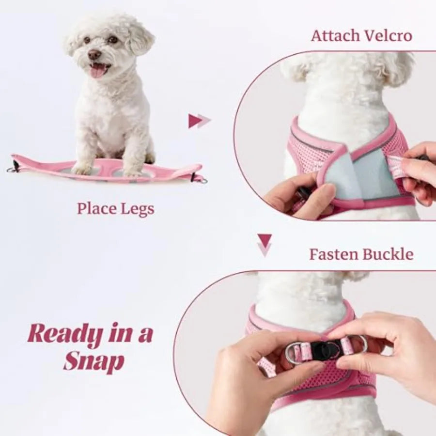 Adjustable Reflective Dog Harness And Leash Set For Daily Walks