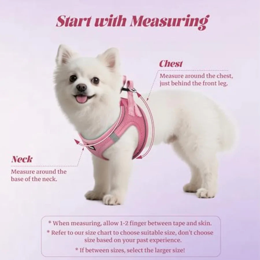 Adjustable Reflective Dog Harness And Leash Set For Daily Walks
