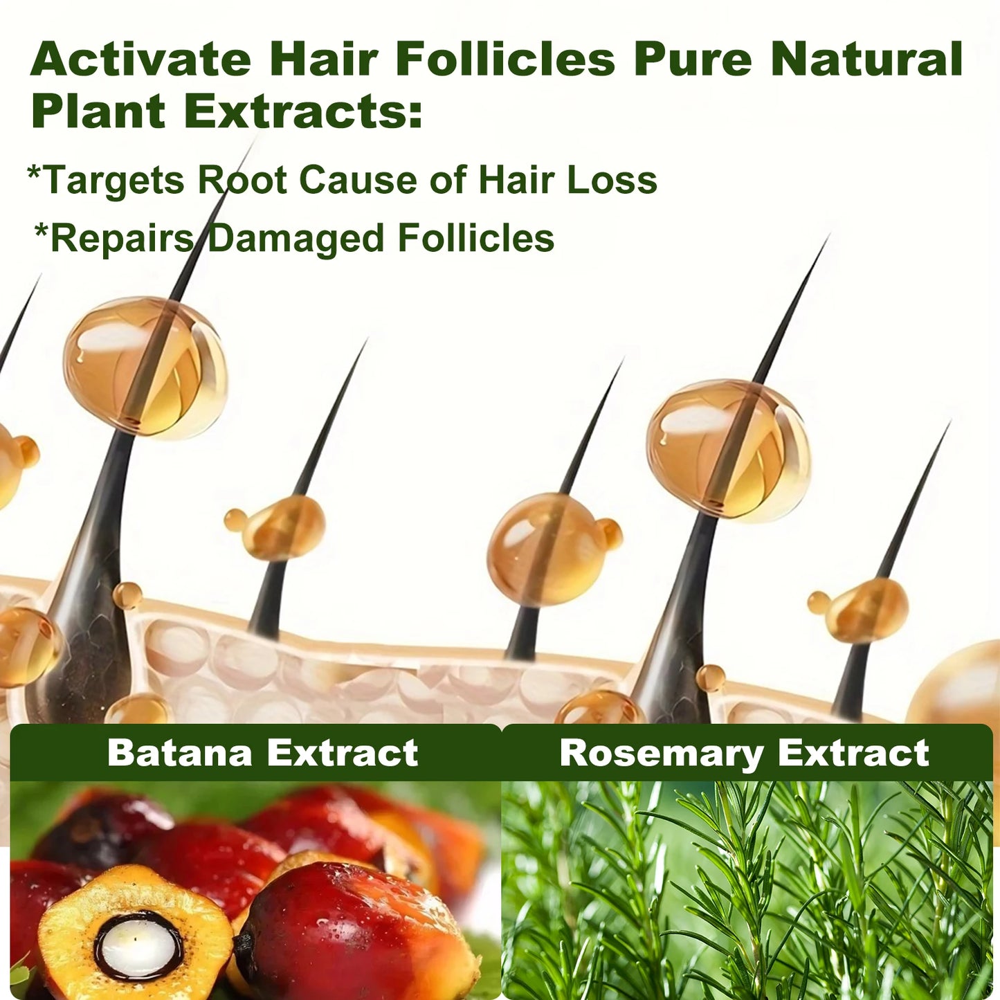 Rosemary Batana Oil Shampoo For Hair Growth And Strength