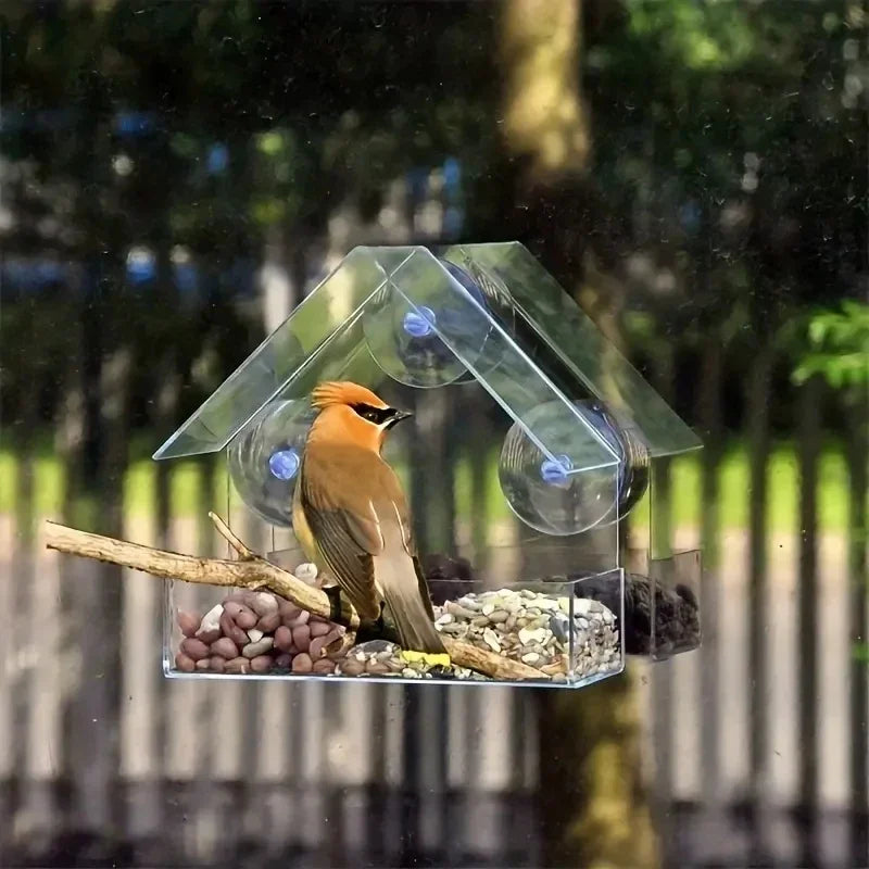 Acrylic Hanging Bird Feeder With Clear Viewing Window For Garden
