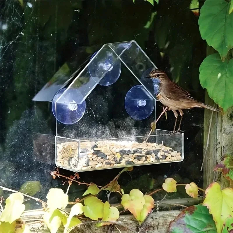 Acrylic Hanging Bird Feeder With Clear Viewing Window For Garden