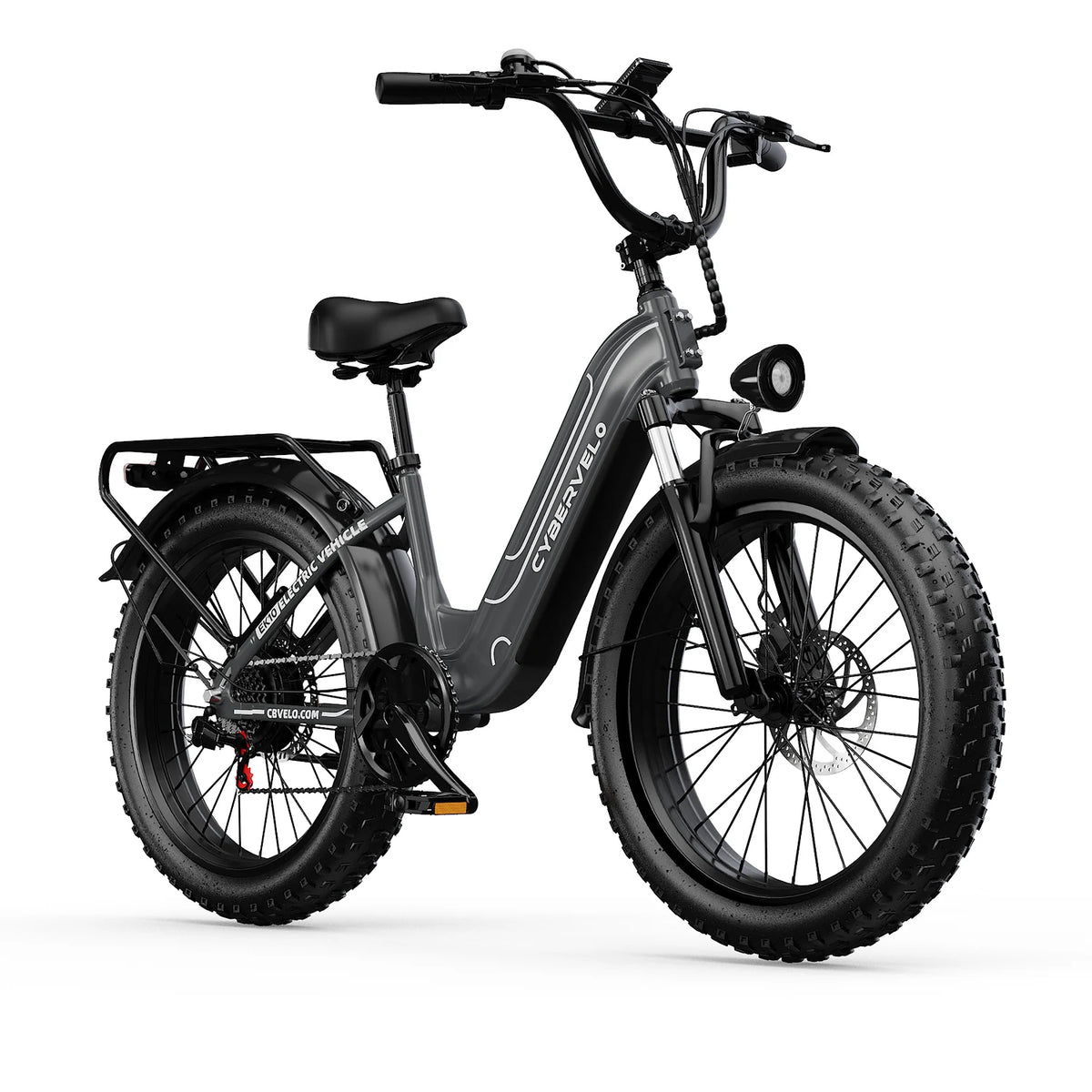 Lionland Fat Tire Electric Bike 1000W All Terrain Removable Battery