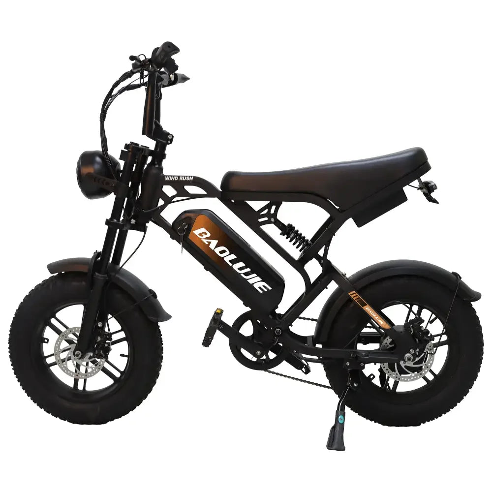 Baolujie DM01 Electric Bicycle 60V 30Ah Battery 42 MPH