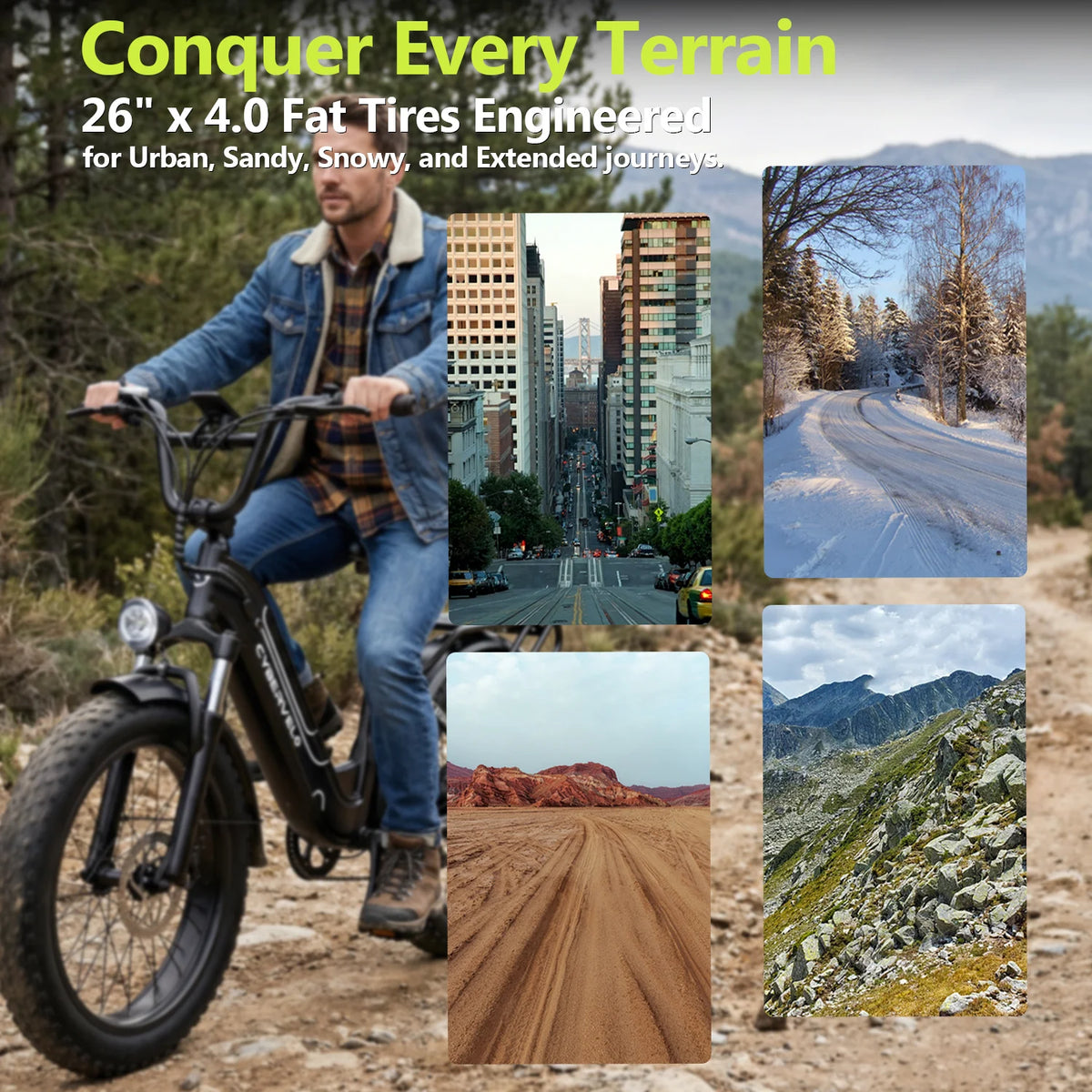Lionland Fat Tire Electric Bike 1000W All Terrain Removable Battery