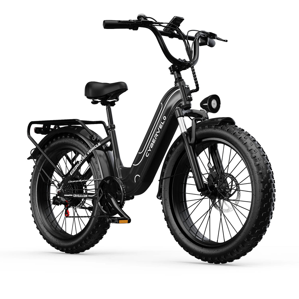 Lionland Fat Tire Electric Bike 1000W All Terrain Removable Battery
