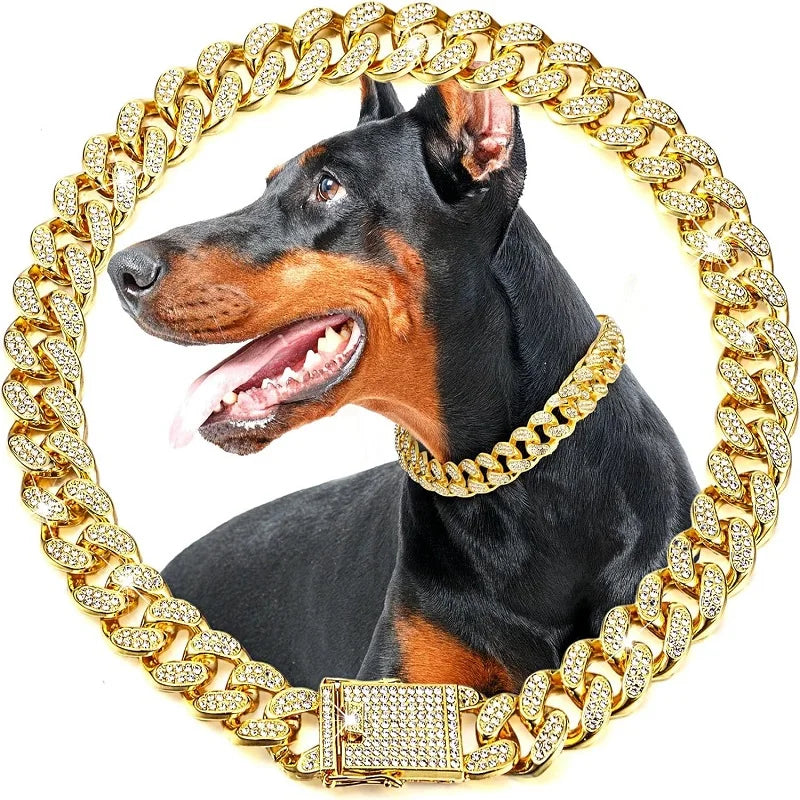 Luxury Stainless Steel Chain Collar For Dogs And Cats
