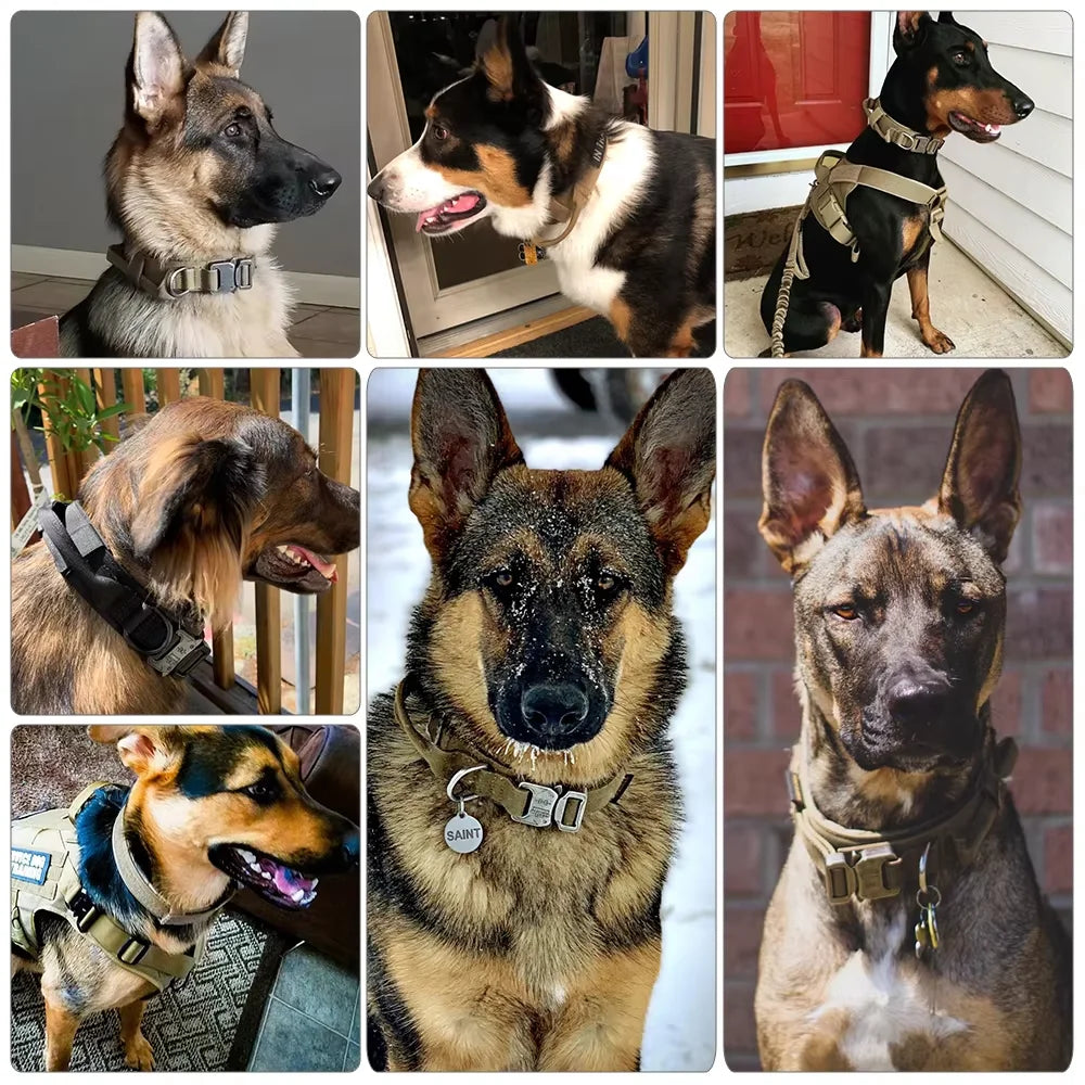 Adjustable Nylon Tactical Dog Harness And Collar Combo For All Sizes