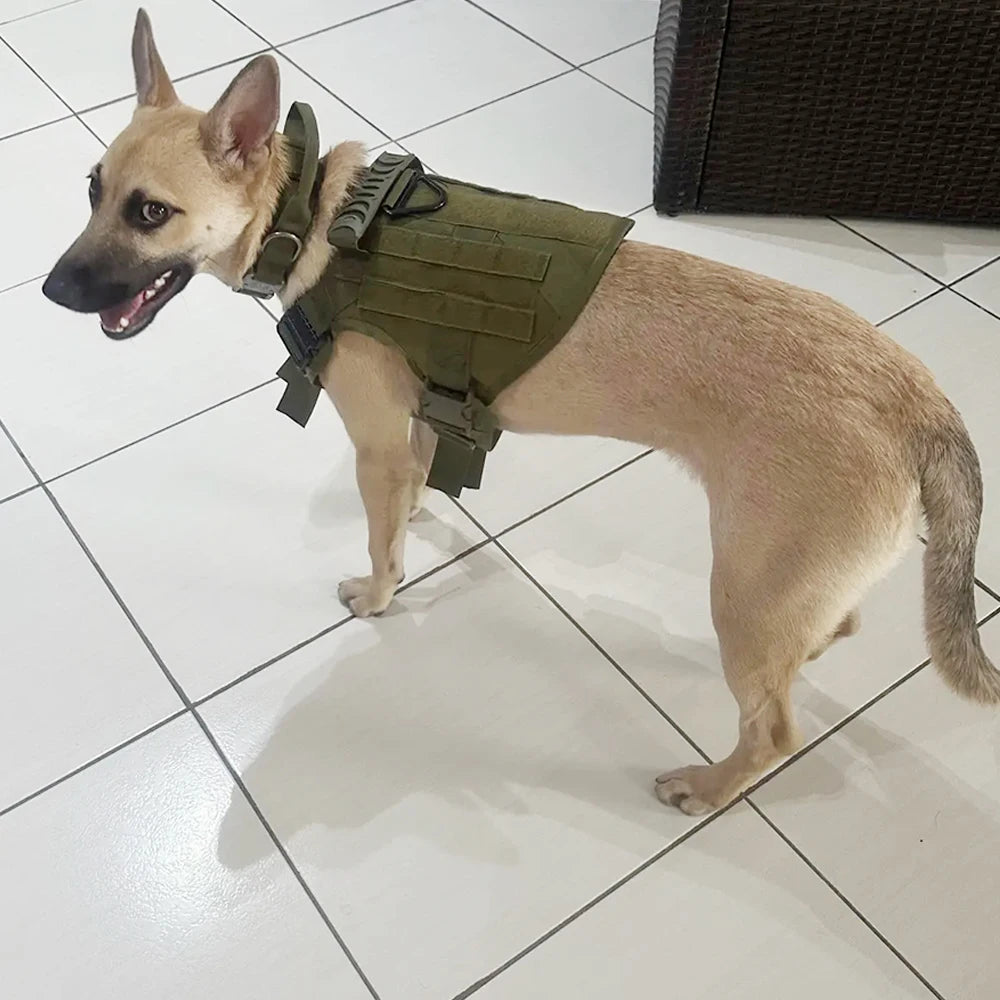 Adjustable Nylon Tactical Dog Harness And Collar Combo For All Sizes