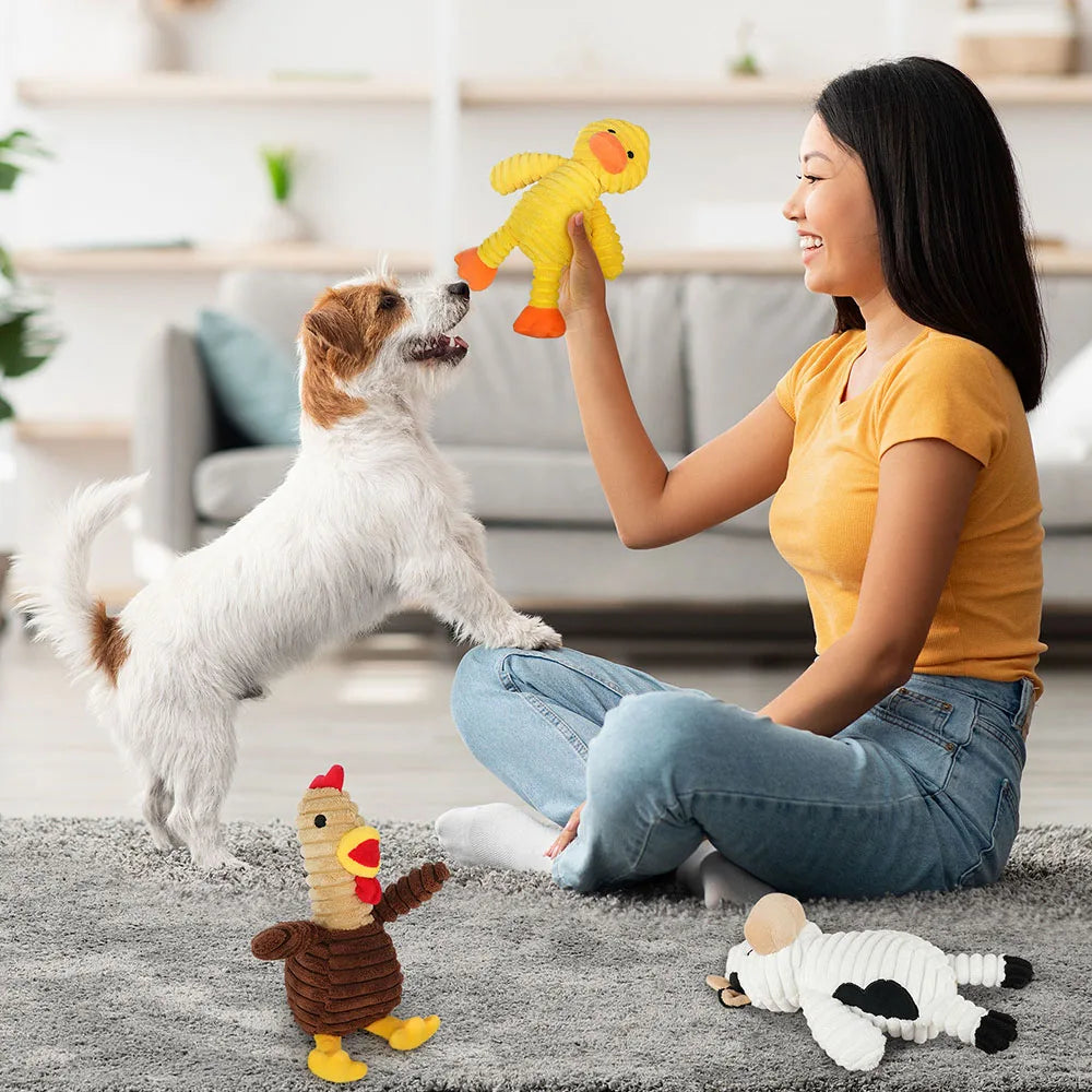 5 Pack Assortment Plush Squeaky Dog Toys Bundle