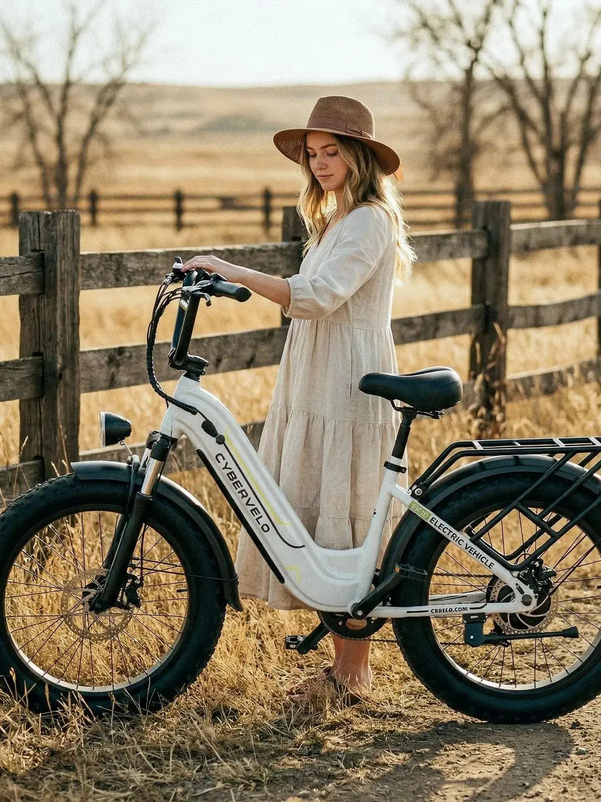 Lionland Fat Tire Electric Bike 1000W All Terrain Removable Battery