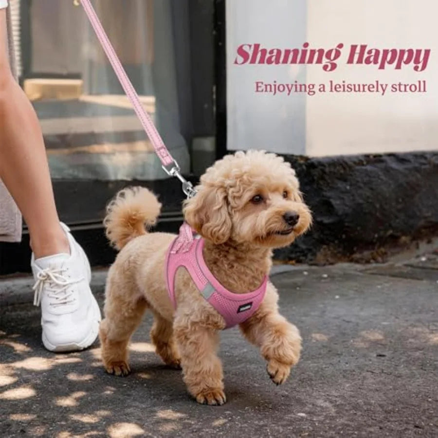 Adjustable Reflective Dog Harness And Leash Set For Daily Walks