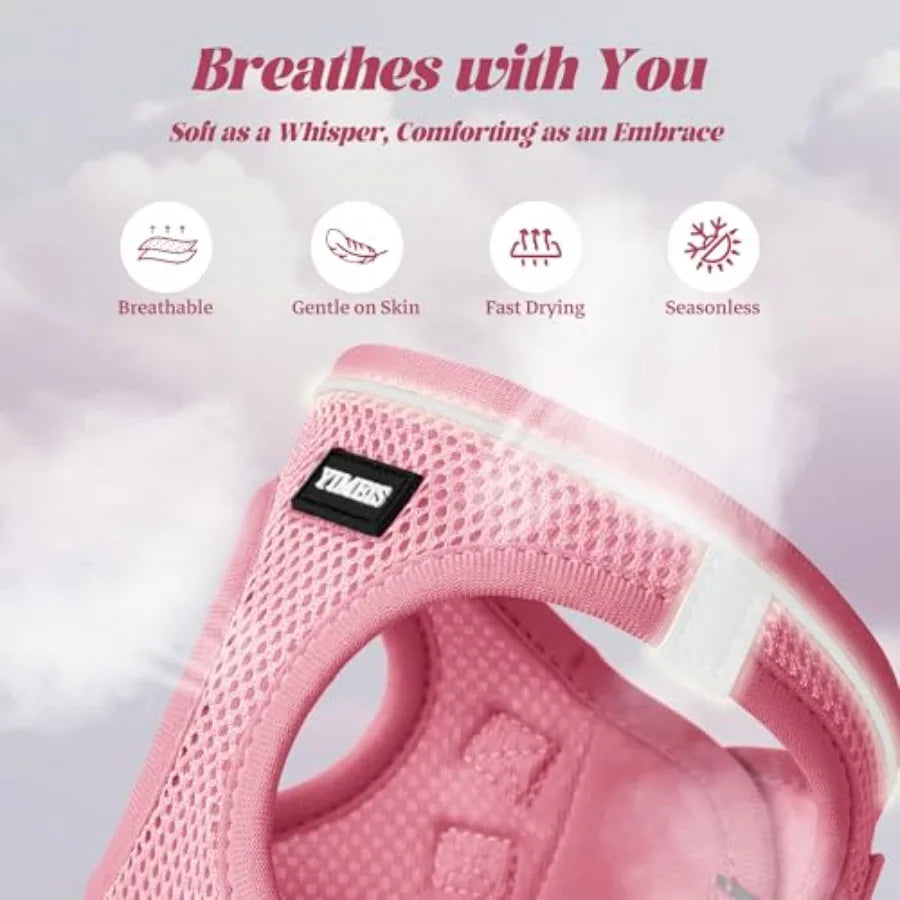 Adjustable Reflective Dog Harness And Leash Set For Daily Walks