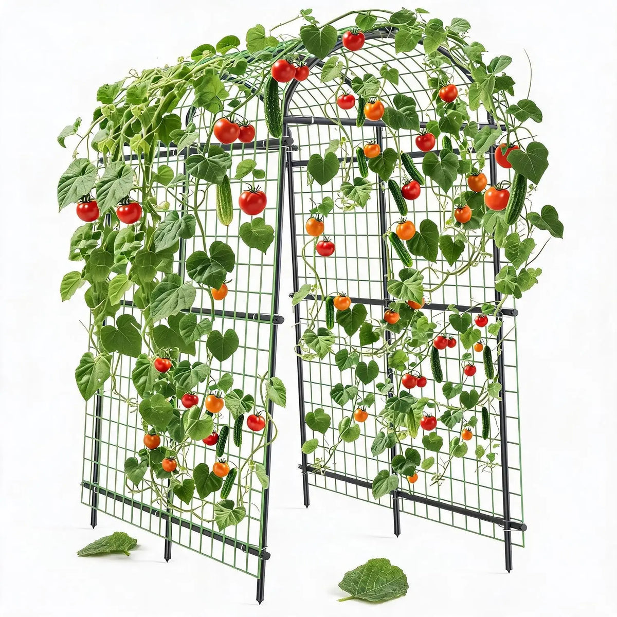 Tacleekii Metal Garden Arch Trellis For Climbing Plants