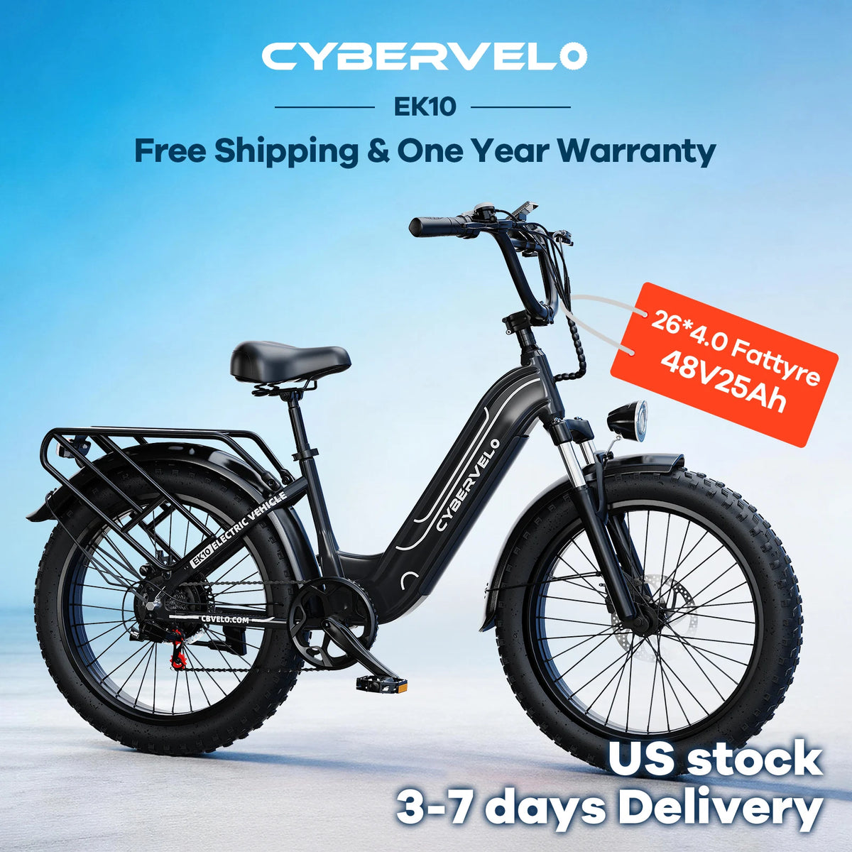 Lionland Fat Tire Electric Bike 1000W All Terrain Removable Battery